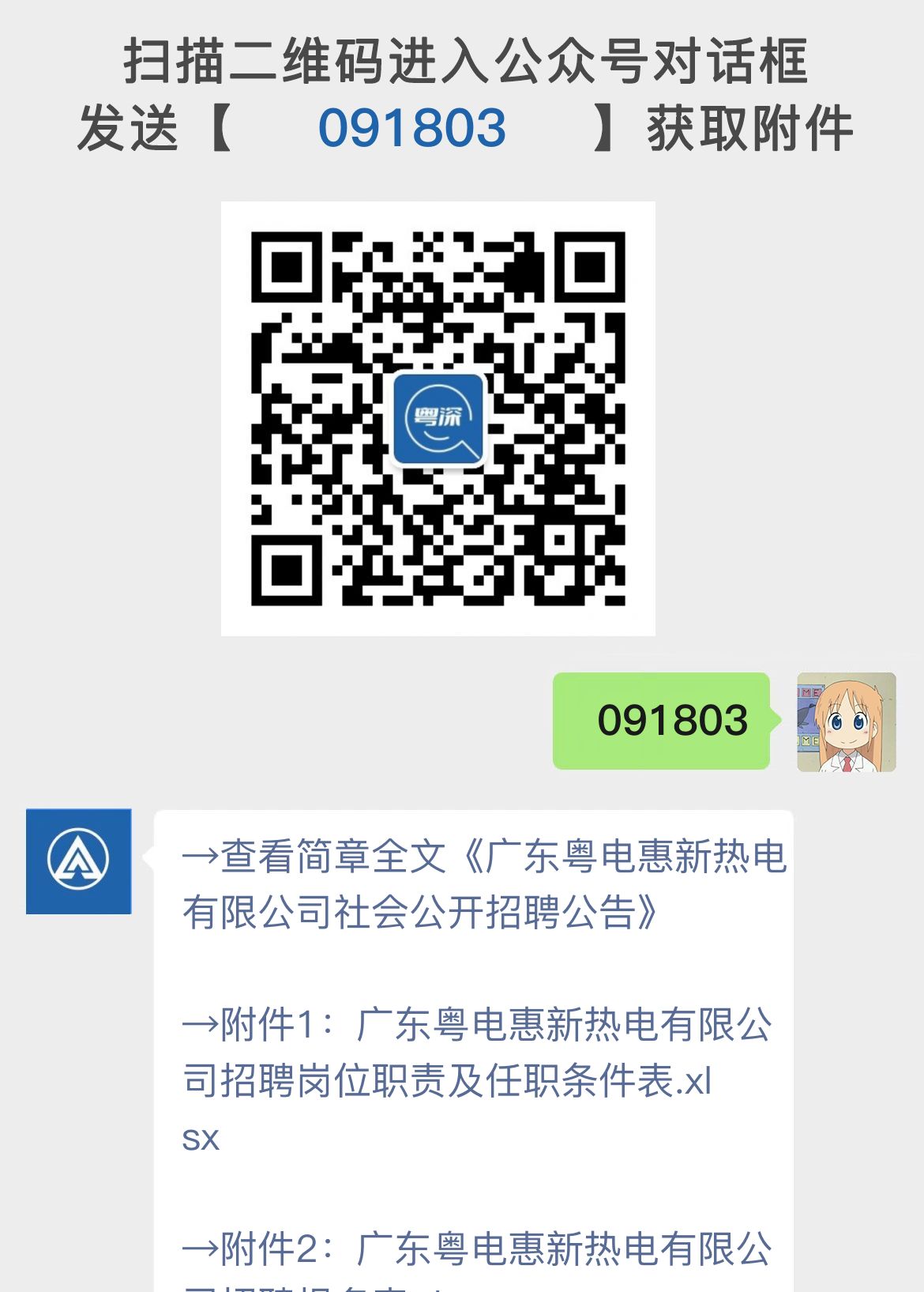 广东粤电惠新热电有限公司社会公开招聘公告