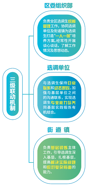 欢迎广大优秀学子报考普陀!上海市2025年度选调生招录工作现已启动