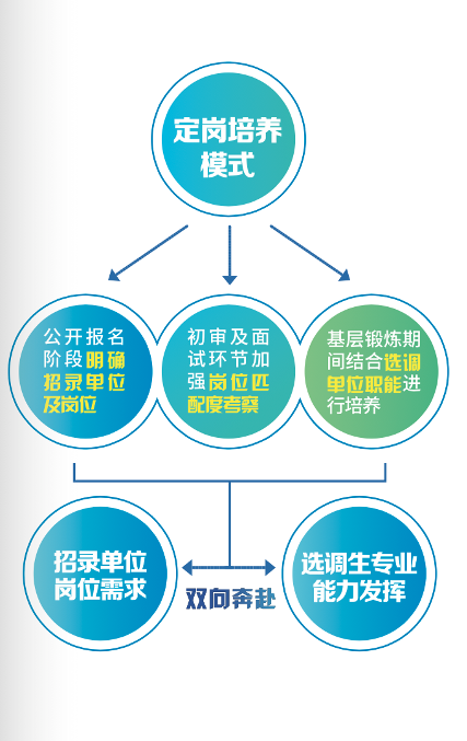 欢迎广大优秀学子报考普陀!上海市2025年度选调生招录工作现已启动