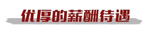 胜利油田2025年度校园招聘