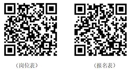 西昌市考录考调领导小组办公室关于2024年西昌市面向全省公开考调事业单位工作人员的公告