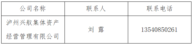 泸州兴舣集体资产经营管理有限公司招聘公告