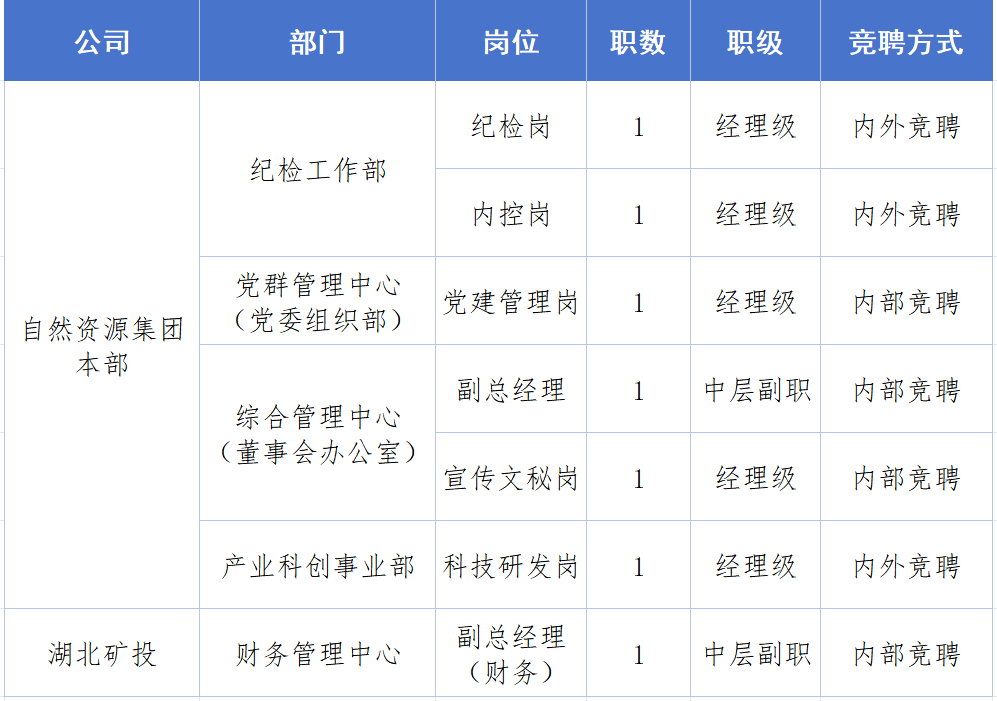 湖北省自然资源投资集团有限公司部分管理岗位公开竞聘公告