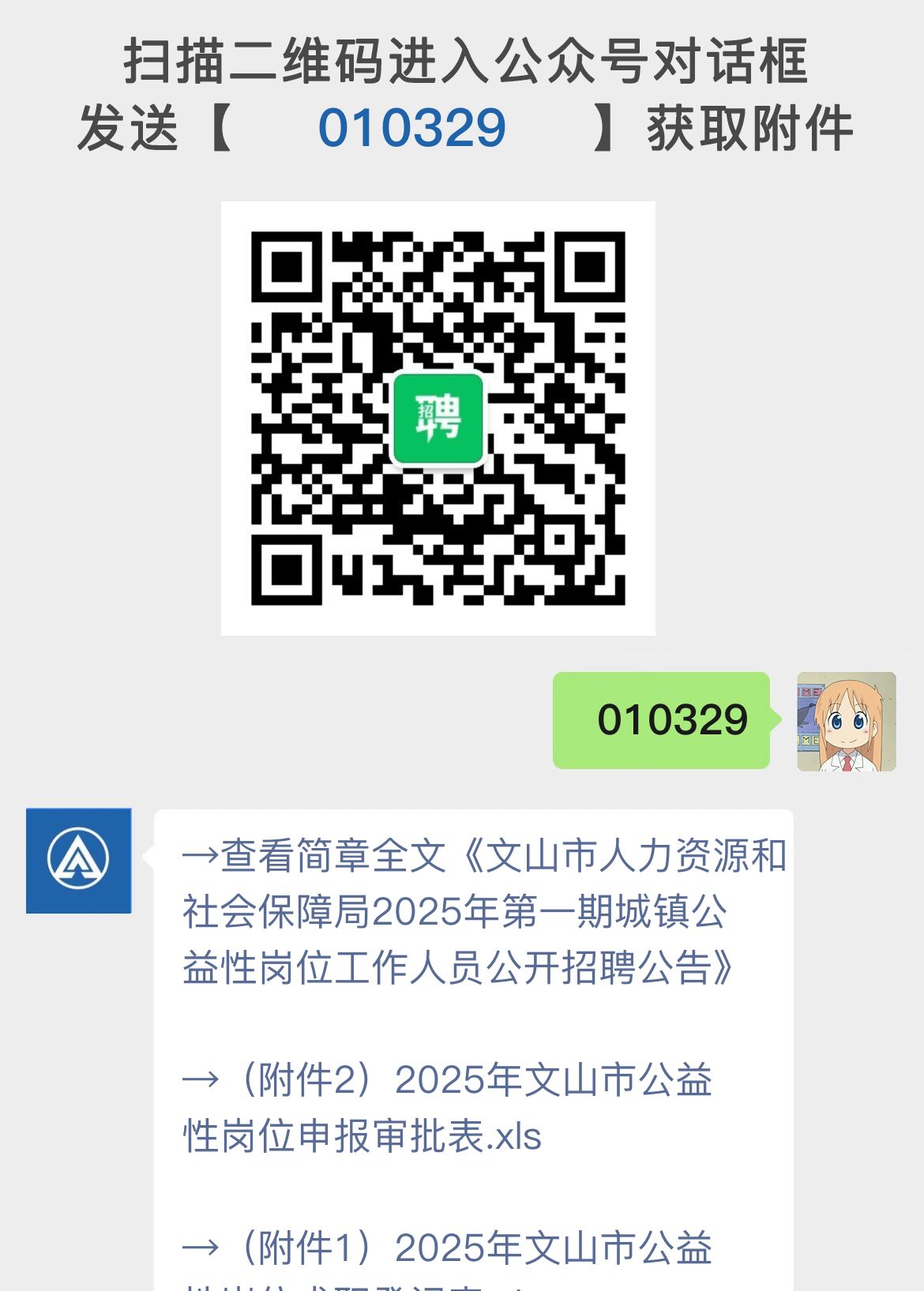 文山市人力资源和社会保障局2025年第一期城镇公益性岗位工作人员公开招聘公告