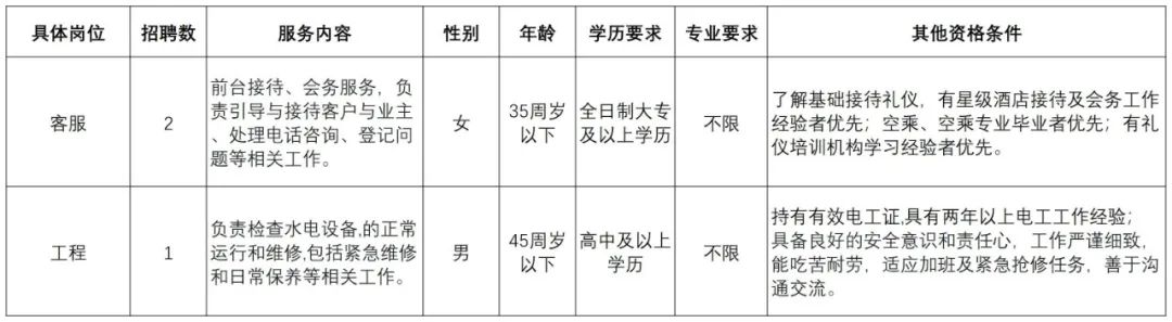 丽水市智汇人力资源服务中心有限公司招聘项目制人员公告