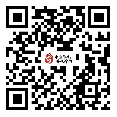 2025年泰安市宁阳县引进急需紧缺青年人才公告