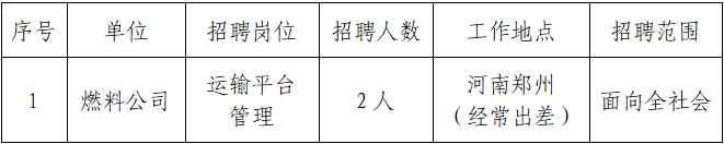 国家电投集团河南公司招聘公告