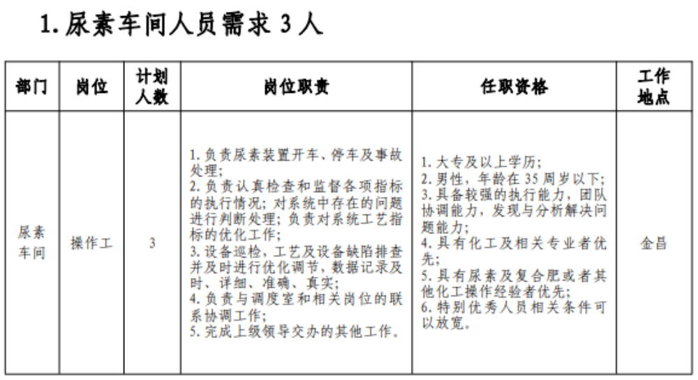 甘肃能化金昌能源化工开发有限公司社会公开招聘公告