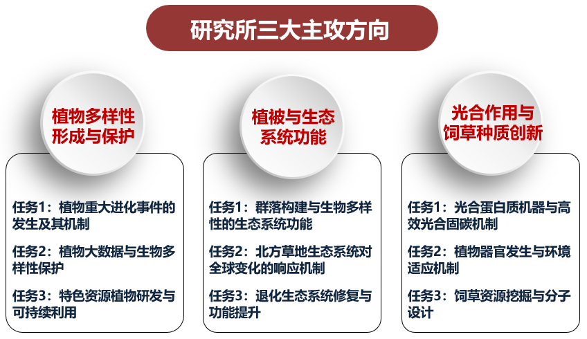 诚邀海外青年人才依托中国科学院植物研究所申报优青(海外)项目