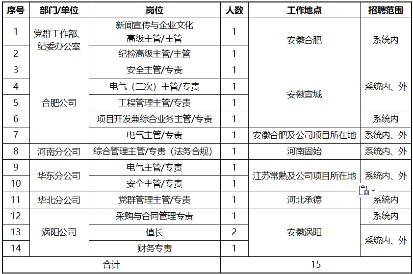 国家电投集团安徽公司招聘公告