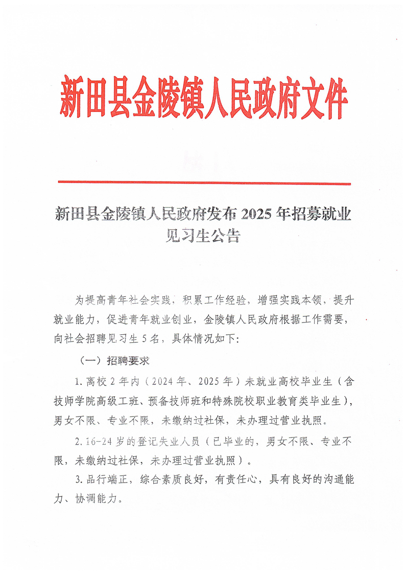 新田县金陵镇人民政府发布2025年招募就业见习生公告