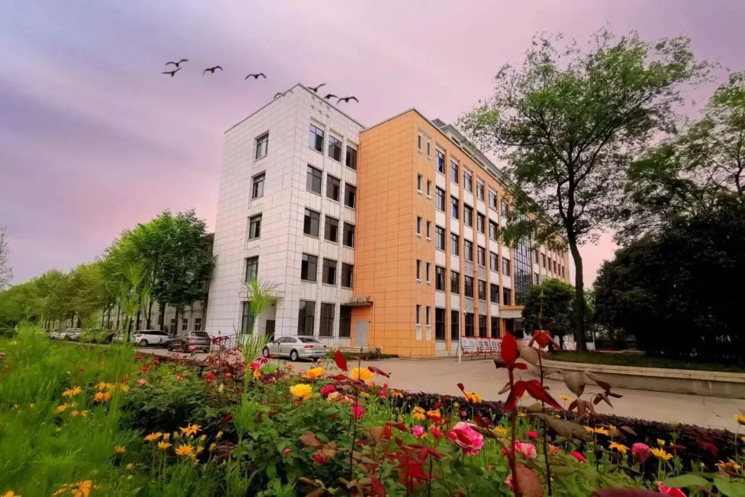 四川省成都市郫都区第三中学校聘教师招聘公告