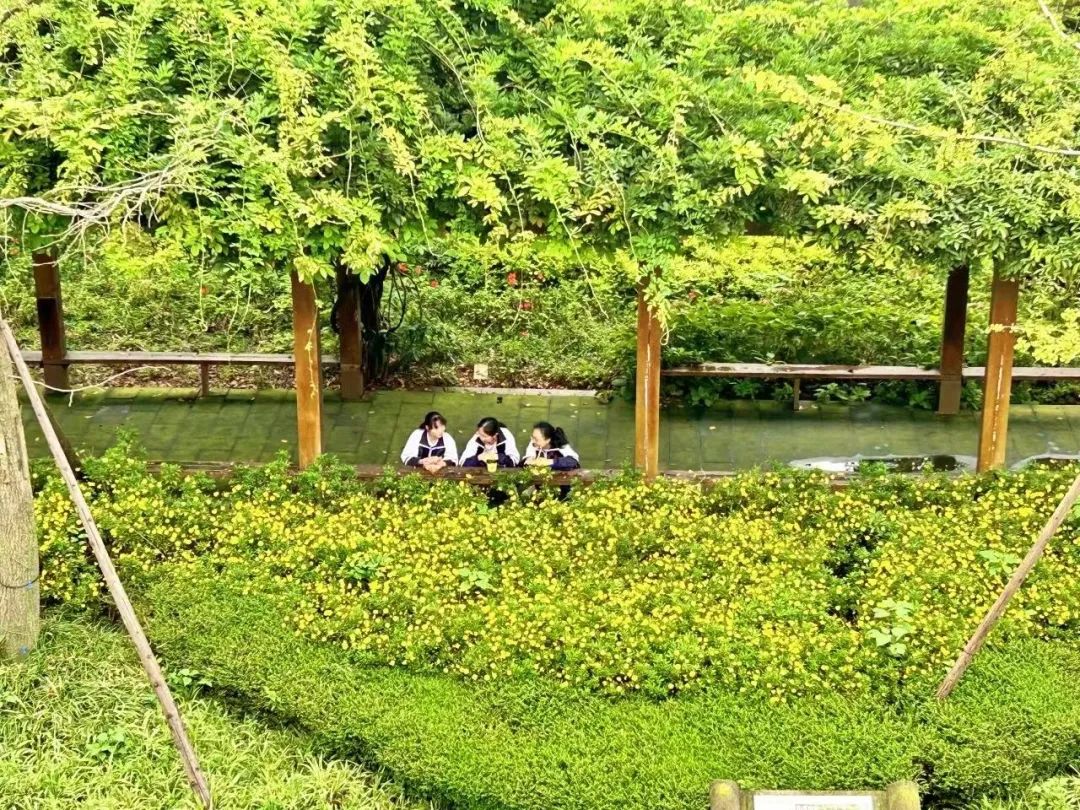 四川省成都市郫都区第三中学校聘教师招聘公告