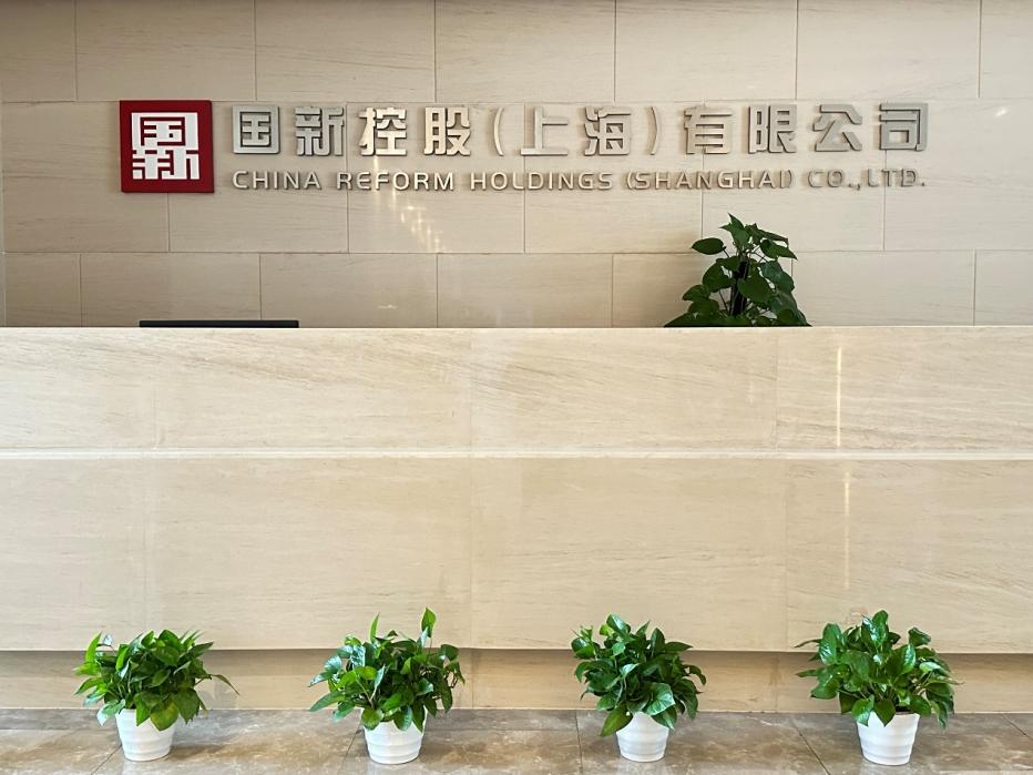 国新控股(上海)有限公司总经理公开招聘公告