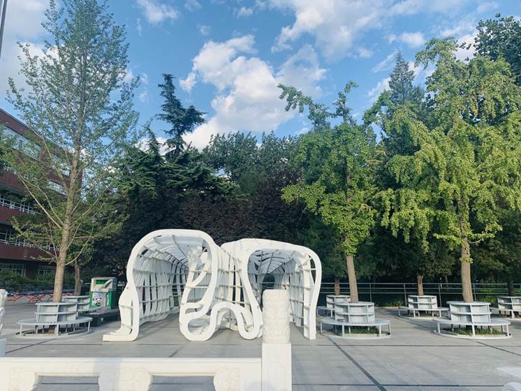 实验中学教育集团2026年教师及实习生招聘公告