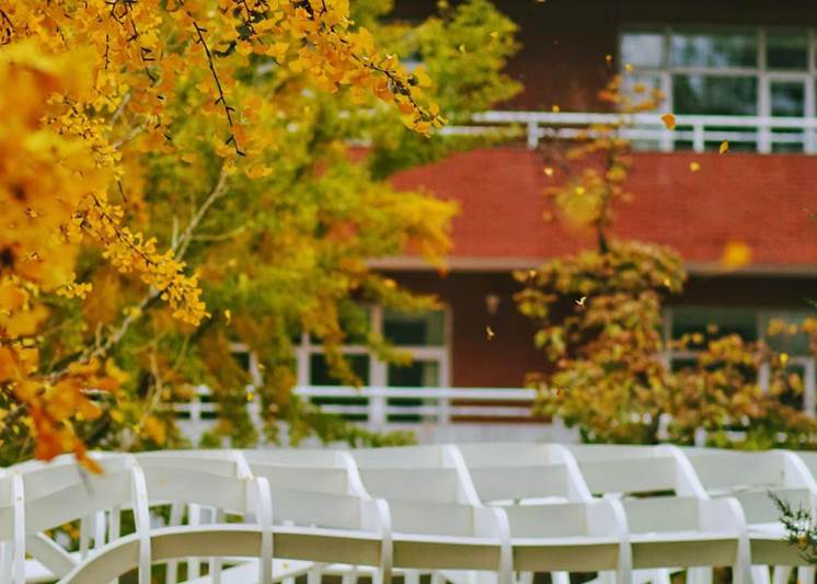 实验中学教育集团2026年教师及实习生招聘公告