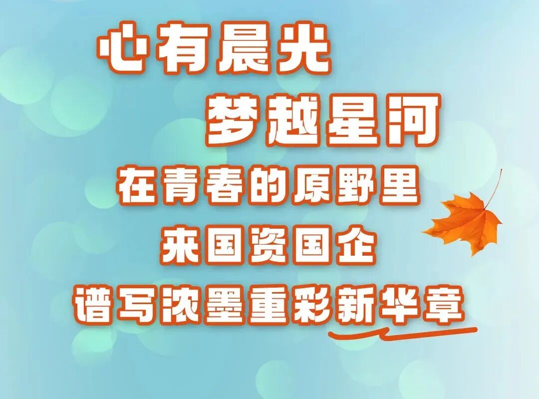 “骐骥秋实”上海国资国企2026届高校毕业生校园招聘正式启动