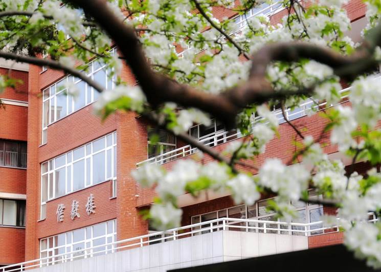 实验中学教育集团2026年教师及实习生招聘公告