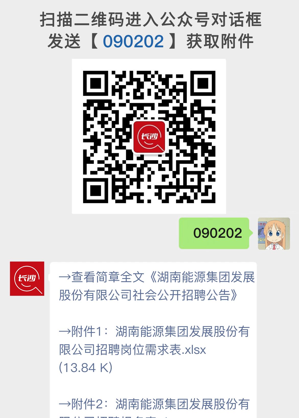 湖南能源集团发展股份有限公司社会公开招聘公告