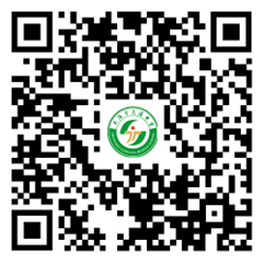 上海市老港中学2026年教师招聘公告