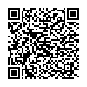 佛山市禅城区玫瑰小学招聘合同制教师公告