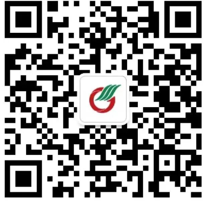 国星光电2026届高校毕业生招聘进行中