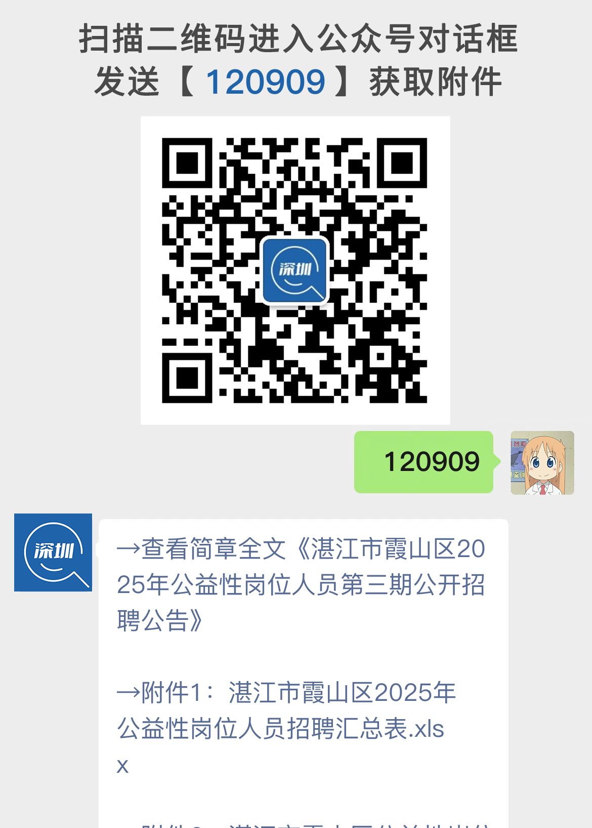 湛江市霞山区2025年公益性岗位人员第三期公开招聘公告