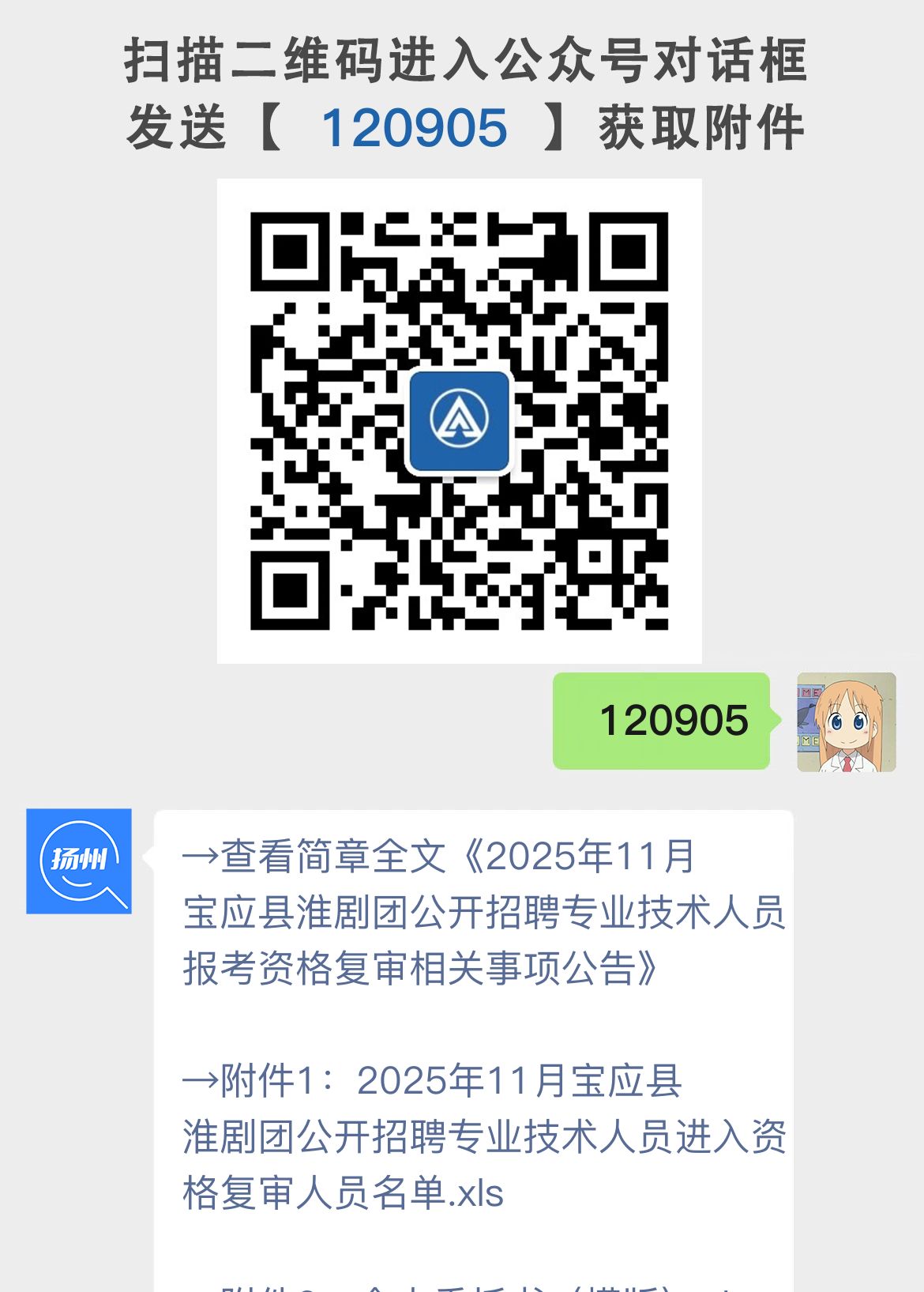 2025年11月宝应县淮剧团公开招聘专业技术人员报考资格复审相关事项公告