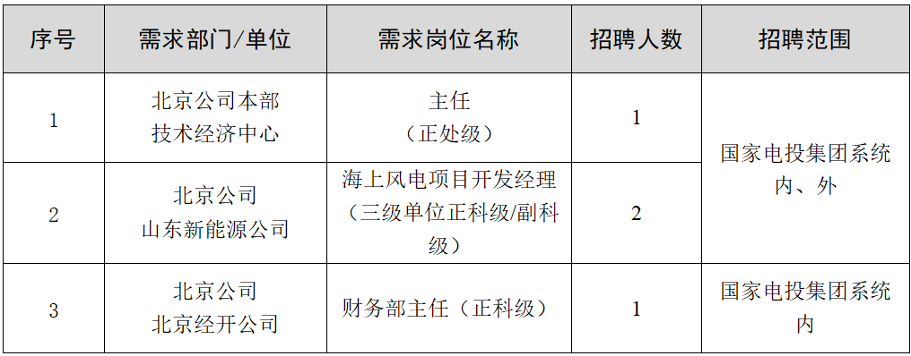 国家电投集团北京公司公开招聘公告
