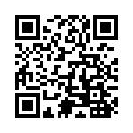 上海市文建中学2026年（第二批次）招聘教师岗位公告