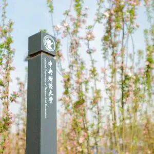 诚聘英才|中央财经大学商学院、科技商学院2026年度教学科研岗招聘公告(第三批)