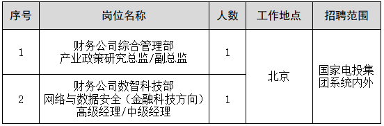 国家电投集团财务公司招聘公告
