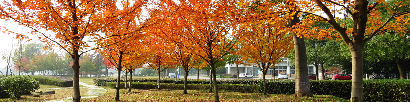 苏州工学院面向海内外诚聘英才(2026年)